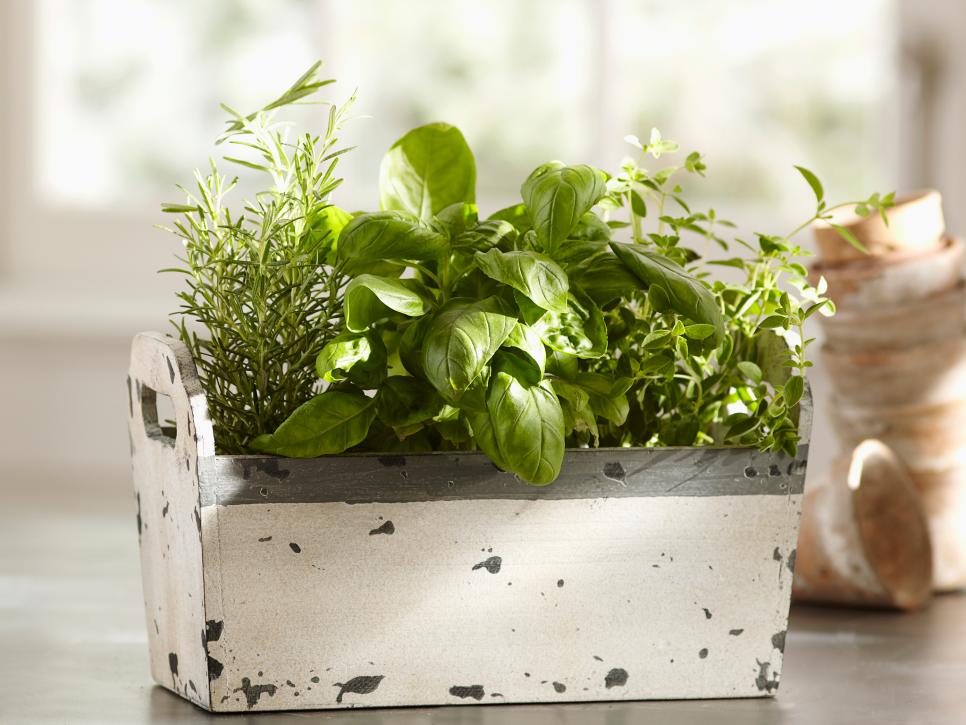 Indoor Herb Garden -