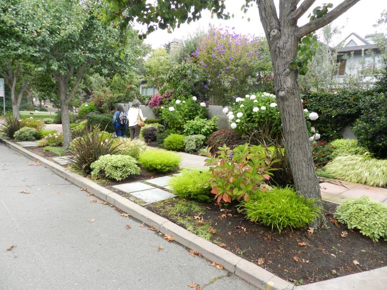 Instead of landscaping one long strip that runs along the front of your house, why not redesign it as separate segments like this innovative configuration in a California suburb? Landscaper Bobbie Schwartz transformed the strip into individual garden plots integrating the existing trees with ornamental plants and grasses while providing easy street access with pavers for visitors.&nbsp;