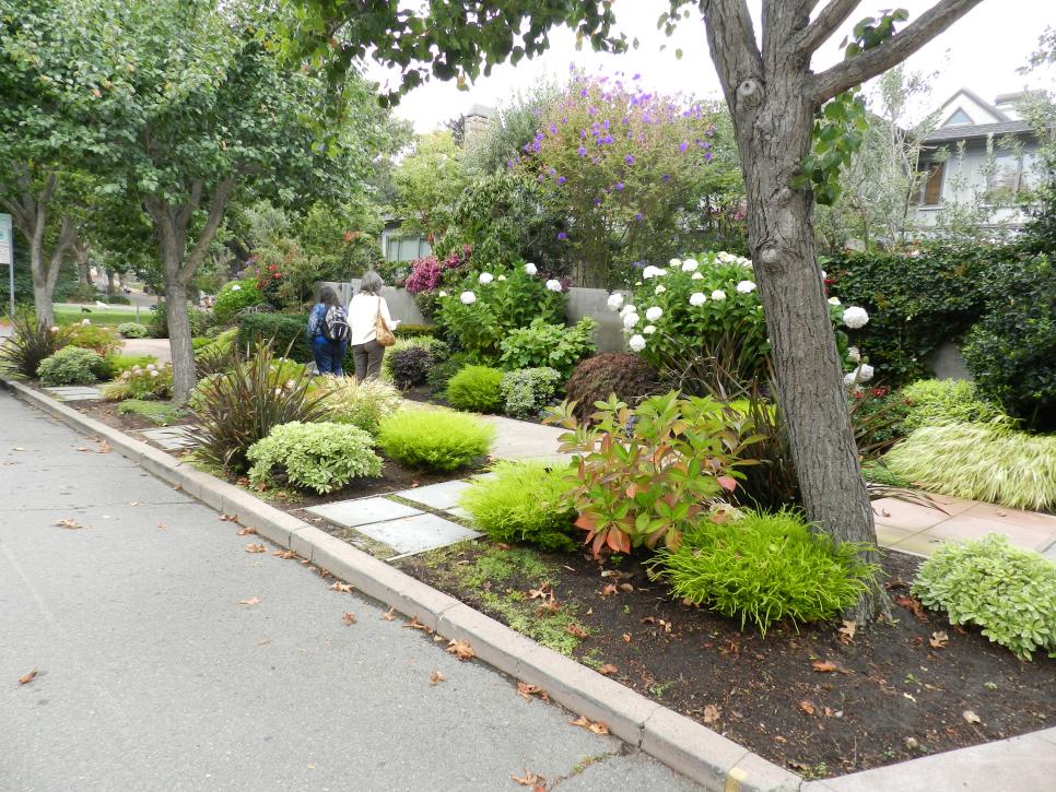 landscaping along driveway