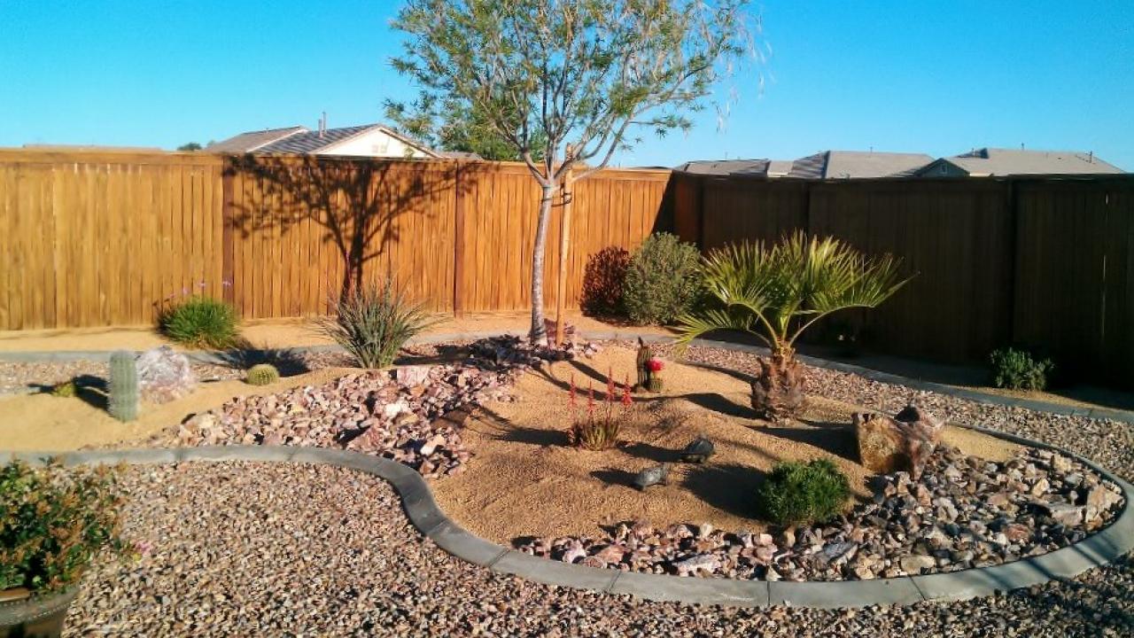 desert landscape design