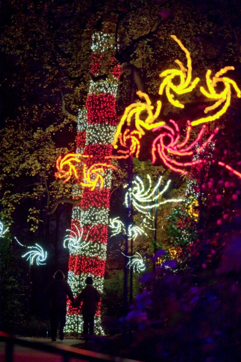 The Atlanta Botanical Garden began a new holiday tradition in 2011 when it launched &quot;Garden Lights, Holiday Nights.&quot; This unique landscape of creative light sculptures features nearly 1 million energy-efficient bulbs and has become a major seasonal event for families who want to experience a dazzling nighttime walk in the park.