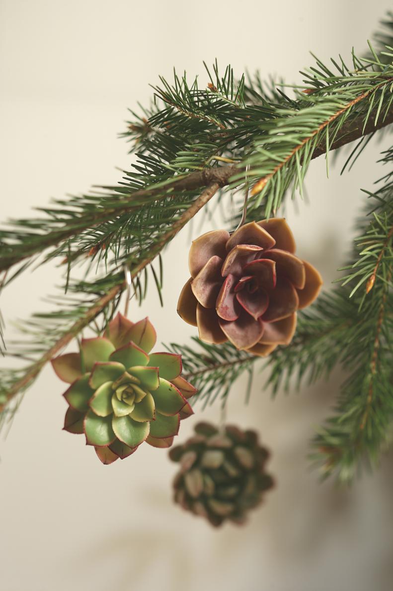 The beauty of these succulent ornaments doesn’t stop when the holidays end. Plant them in soil afterwards and enjoy them all year long. $69 for three or $25 each; <a href="http://www.vivaterra.com/succulent-ornaments.html" target="_blank">vivaterra.com</a>