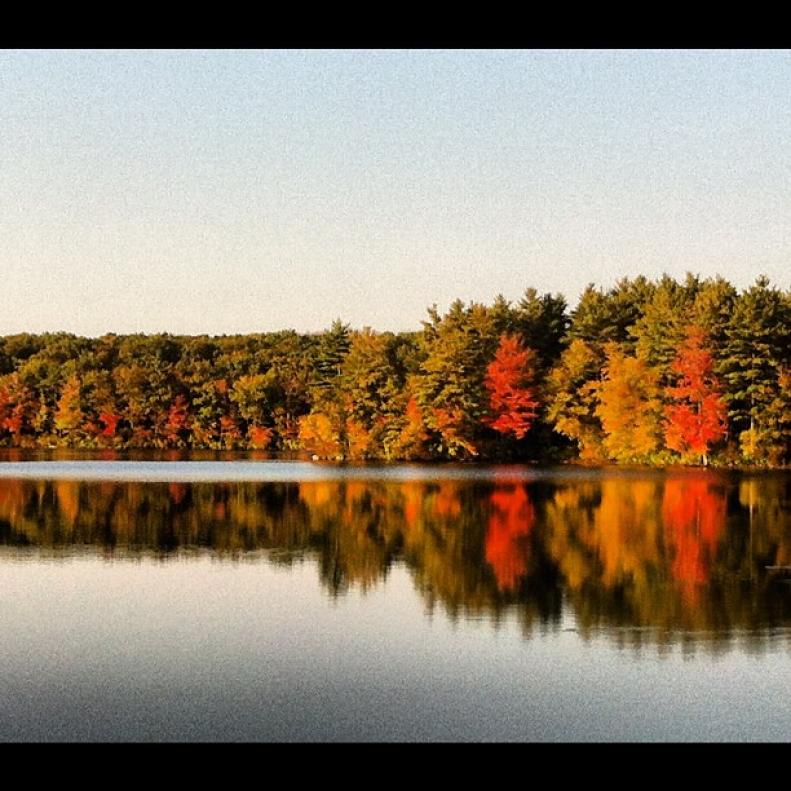 fall trees overlooking a lake