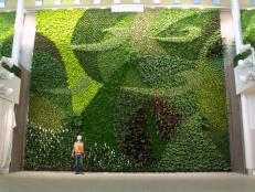 Corporate offices, shopping malls and medical centers are beginning to utilize green walls in ways that introduce both nature and a sense of serenity into environments that might seem more antiseptic without them. This installation at the Edmonton International Airport gives you some idea of the scale of this project by Green Over Grey.&nbsp;