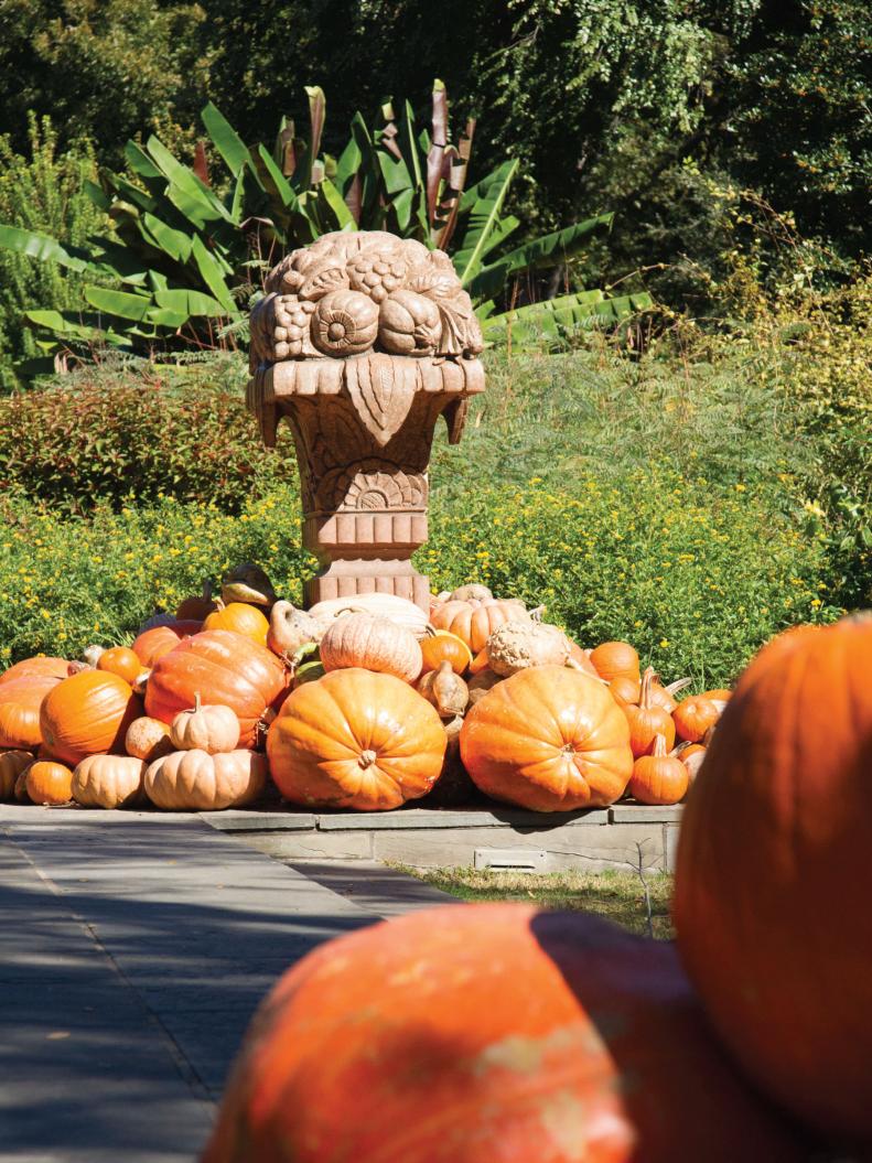 Pumpkins and squashes are everywhere at the Dallas Arboretum.