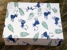 Hand Painted Wrapping Paper