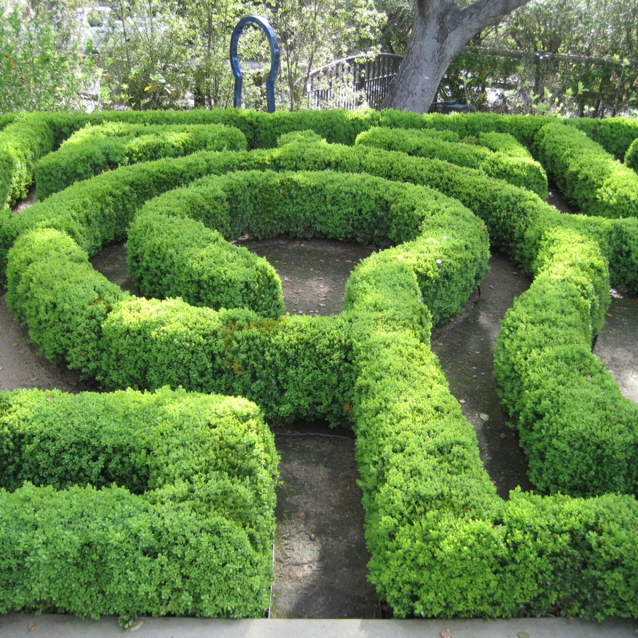 Hedge Maze 迷路庭園 フルアートFoil 英語 EX](フルアート)迷路庭園/Hedge Maze《英語》【MKM】