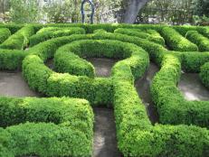 It might look like a maze but this is actually a labyrinth created by Suzman Design Associates. If it was a maze, the hedges would be too high to see over the pathways.