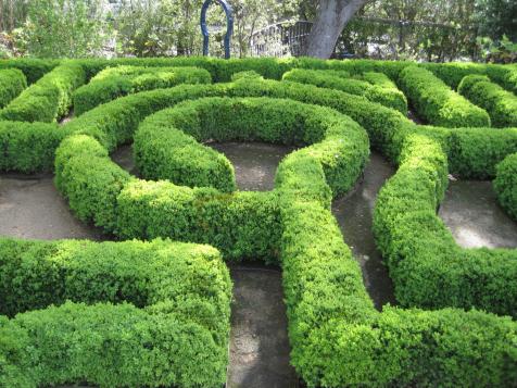 Garden Mazes Create a Sense of Wonder
