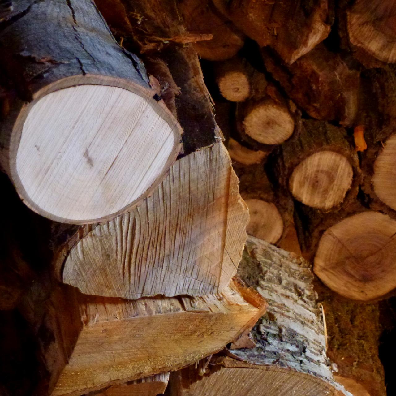 How to Find the Best Firewood for Burning