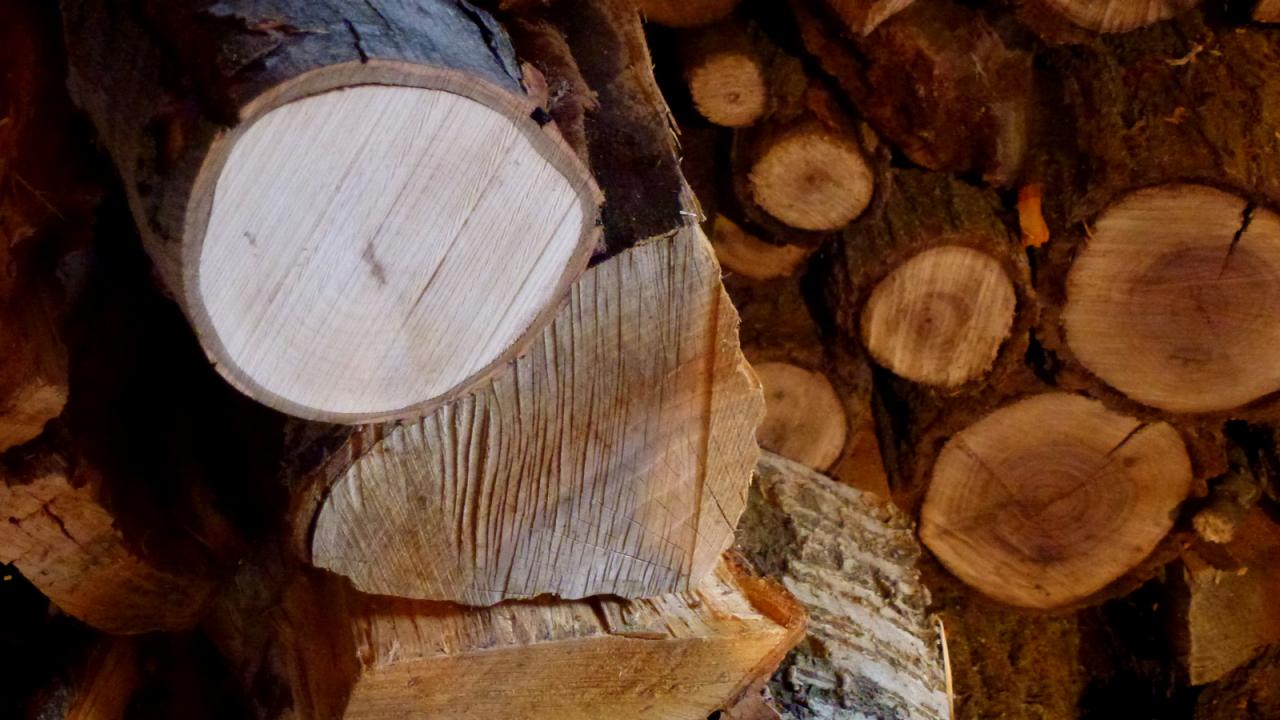 The Best Firewood for Burning | HGTV