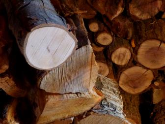 Here is an assortment of seasoned wood which is ideal for the fireplace - maple, cherry and walnut.&nbsp;