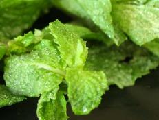 Candied Mint Leaves