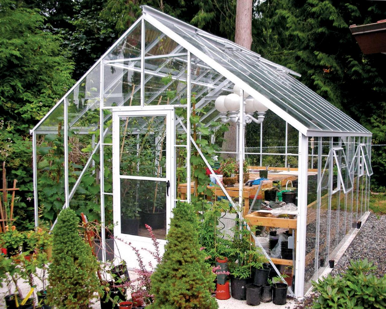 Choosing a Greenhouse | HGTV
