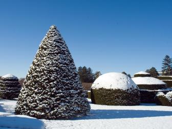 The unique shapes of Longwood Gardens' Topiary Garden are amplified with a dusting of snow.&nbsp;