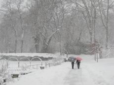 Snow doesn't stop New Yorkers from strolling around the <a href="http://www.bbg.org/" target="_blank">Brooklyn Botanic Garden</a>.&nbsp;