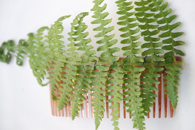 Continue by attaching your base elements to the comb, usually some sort of greenery. We used fern leaves. Wrap the wire around the comb and the leaf, in between the teeth of the comb.