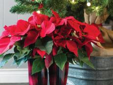 Add some whimsy to your holiday decor with this simple floral arrangement.