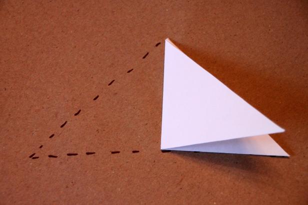 Lay that triangle like so, and fold it in half again.