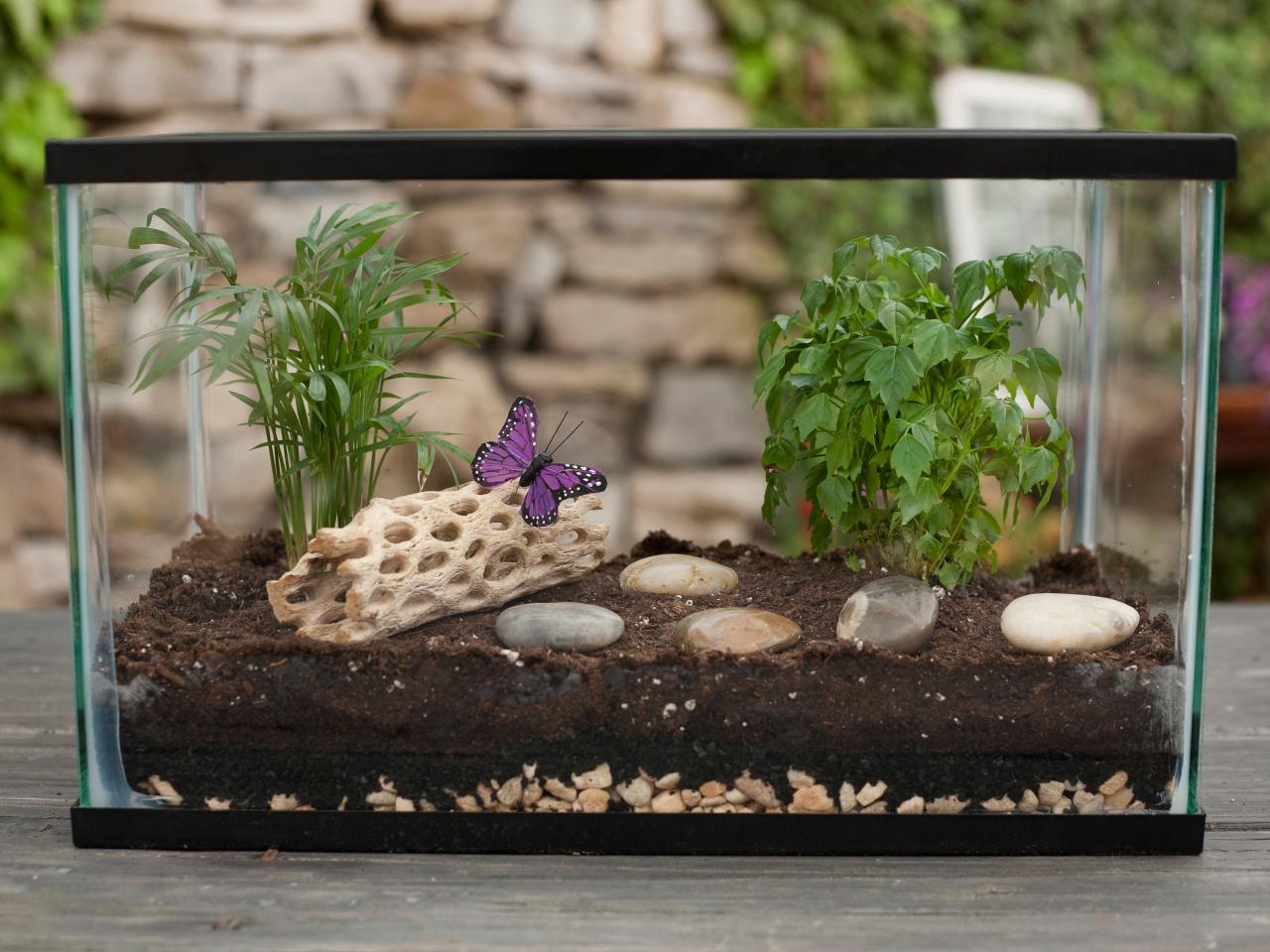 How To Make A Terrarium How Tos Diy