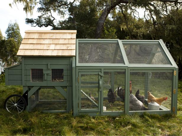 Williams Sonoma Chicken Coops In Dig It Design Hgtv