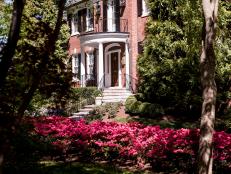 azaleas and peonies for landscaping