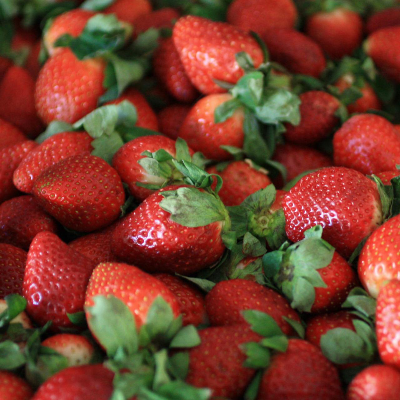 Keep Strawberries Fresh and Delicious with Plant Power