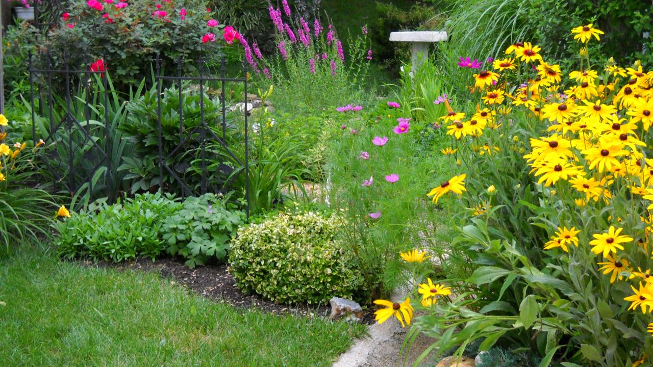 Creating Beautiful And Sustainable Rain Gardens: Design Principles And  Plant List For A Functional Rain Garden 