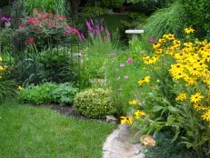 We call this our Waterway.  Rain water comes down our hill and runs to the side yard.