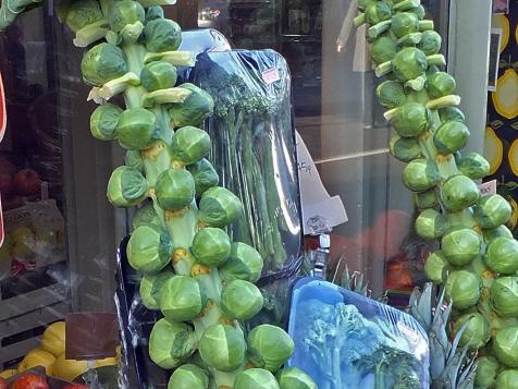 Grow Guide: How to Grow Brussels Sprouts and Get Your Squash Plants to Produce