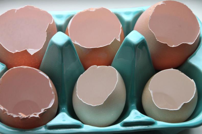 Eggshells Awaiting Transformation Into Bulb Containers