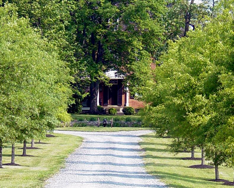 willow oaks driveway