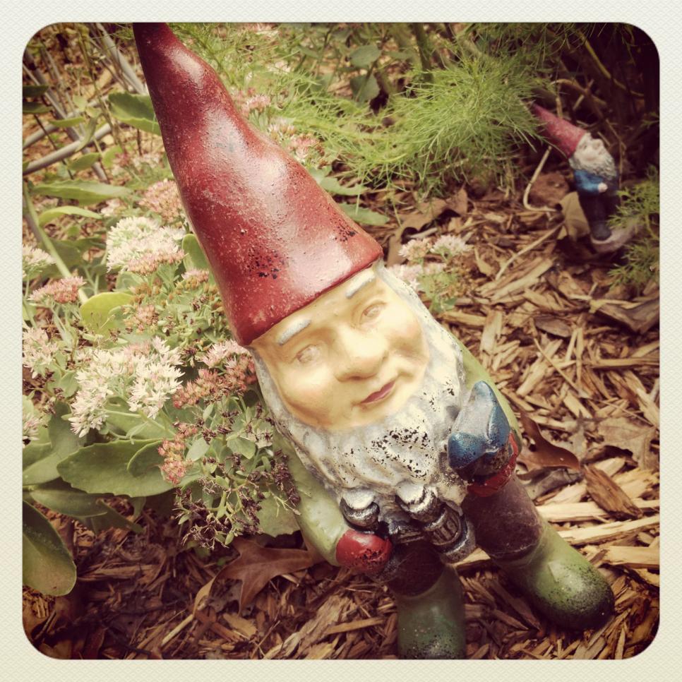 A Garden Gnome Is Often the Perfect Whimsical Touch for a Garden