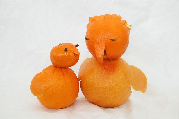 baby and mother bird fruit art