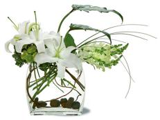 White Lily Flower Arrangement