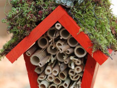 Dig This: Craft a Ladybug Hotel