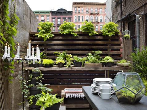 Urban Gardening Design Ideas