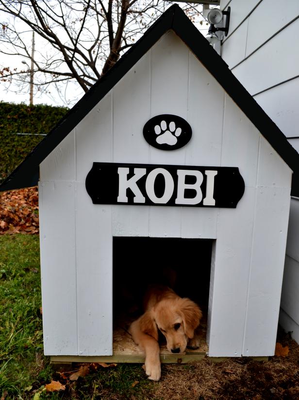 Designer Dog Houses and Accessories HGTV