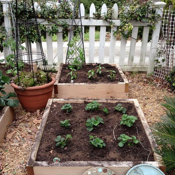 Great Raised Bed Options Diy Network, Raised Garden Bed With Fence