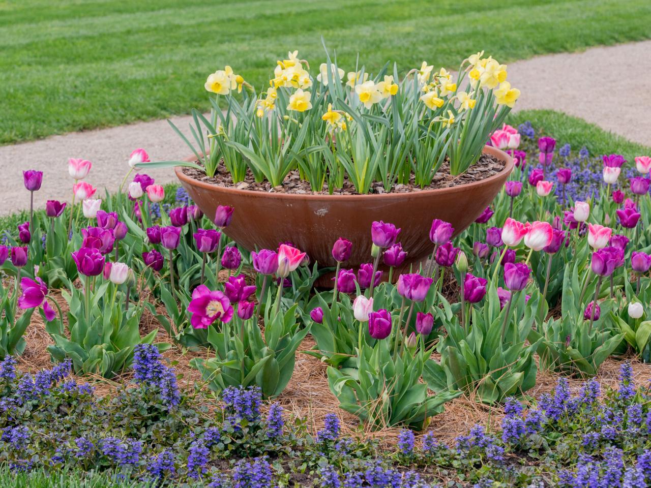 Spring Cleaning For Your Garden Hgtv