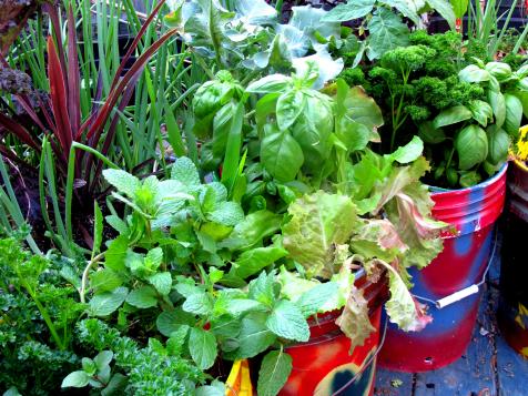 Grow Guide: The Best Vegetables and Herbs for Containers