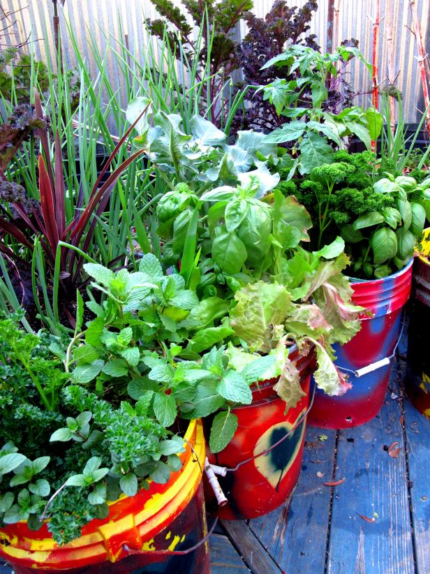 The Best Vegetables And Herbs For Your, Deck Gardening Containers