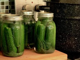 Dill Pickles.jpg