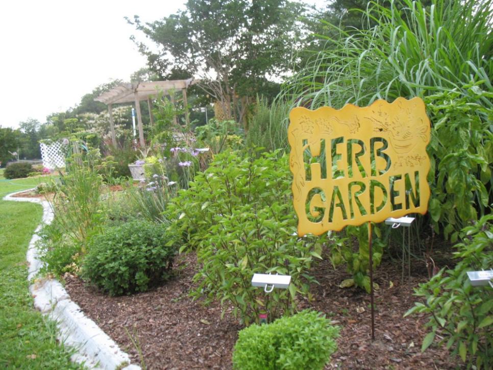 How To Use Herbs In The Landscape Hgtv