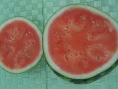 sliced melon.JPG