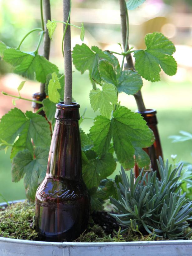 Beer Garden