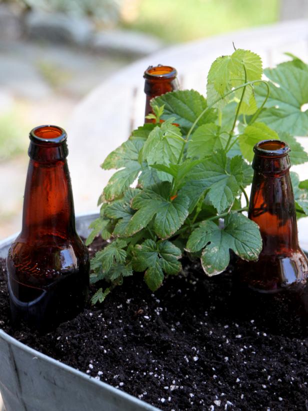 Plant A Container Beer Garden, Beer Bottle Shaped Fire Pit