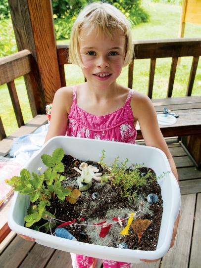 indoor miniature garden plants