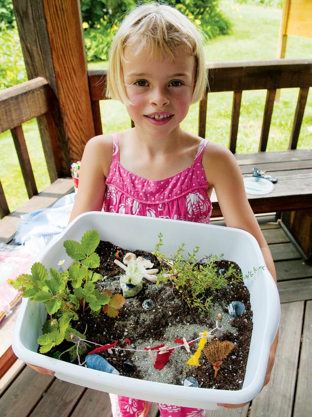 Fairy Garden Flowers And Plants, What Plants Are Best For A Fairy Garden