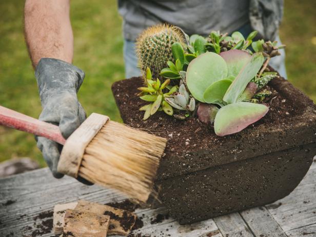 A concrete brush is a nifty tool to clean off any stray potting soil and neaten up your freshly potted plants.